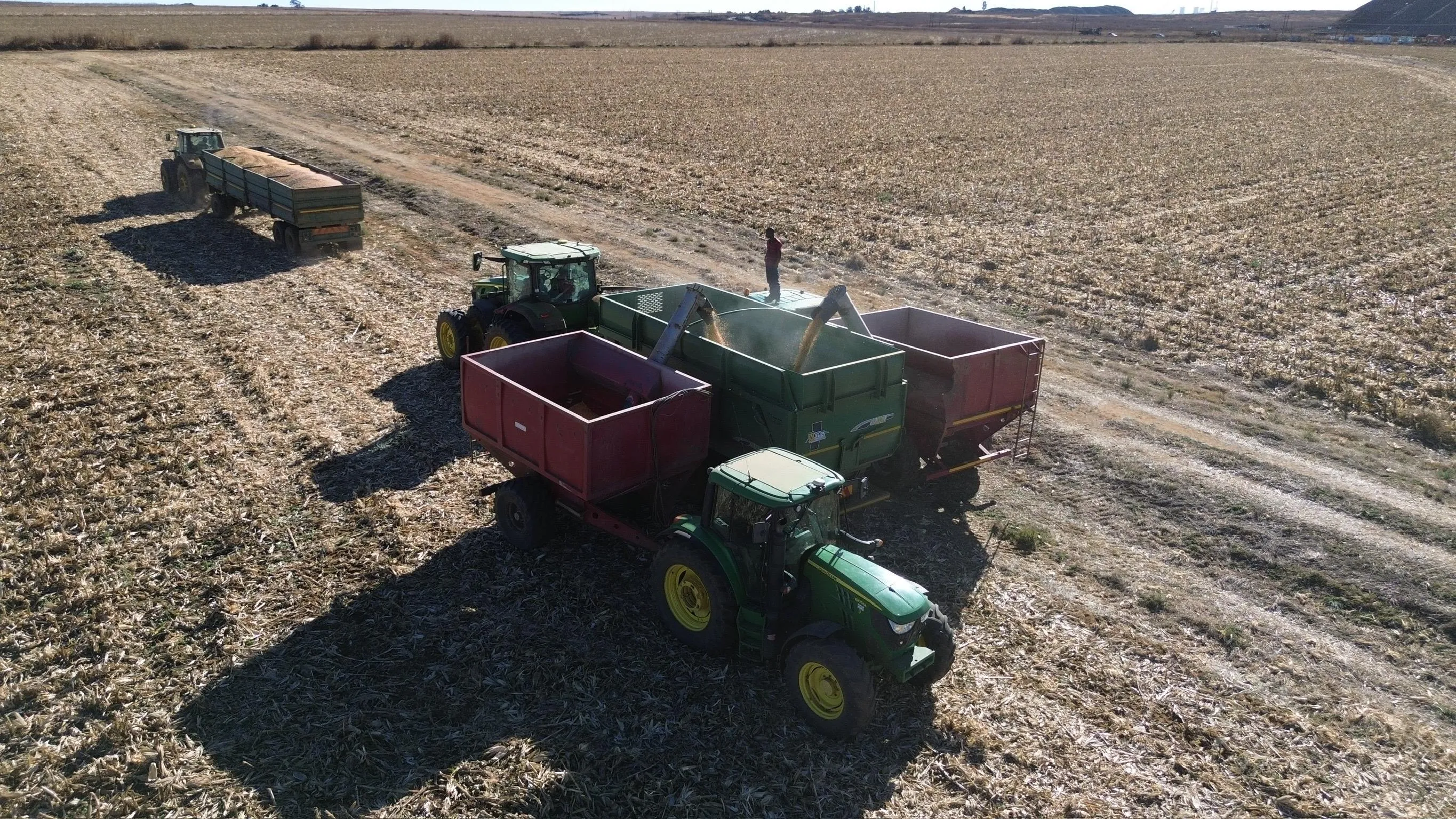 Tractors and grain trailers offloading maize in a harvested field