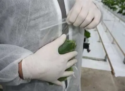 Sealing a labelled sample bag while collecting in the field
